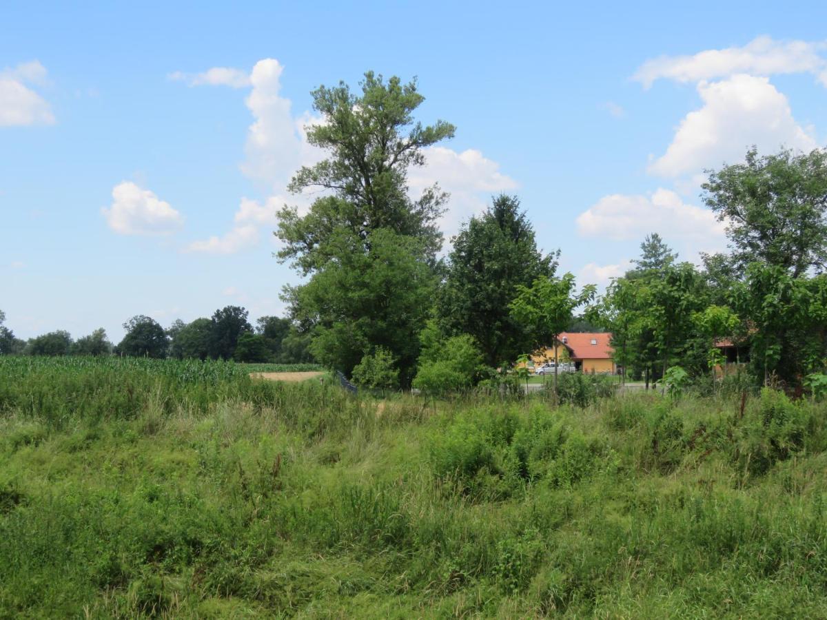 Mill House Apartment And Camping Ljutomer Eksteriør bilde